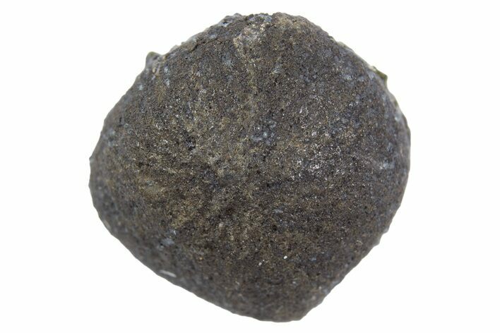 Ait Saoun EH/EH Chondrite Meteorite ( g) - Fresh Fall! #302427